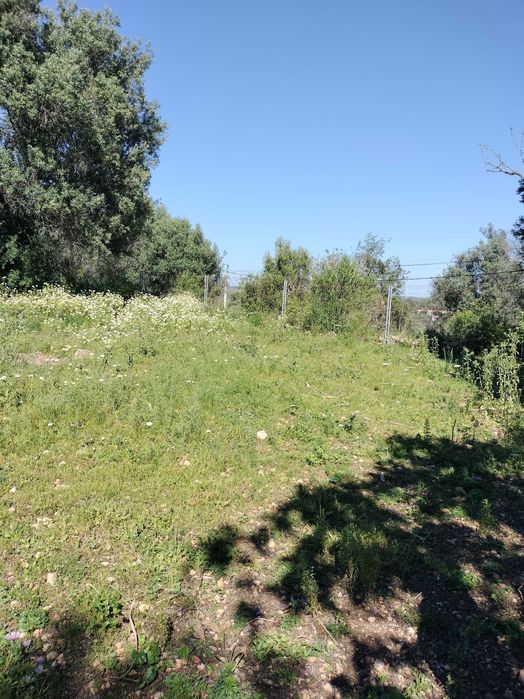 Quinta com Moradia no sitio do Poio - Mexilhoeira Grande