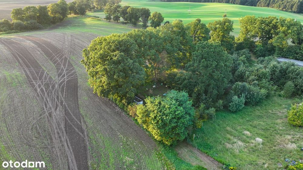 Działka z warunkami zabudowy w spokojnej okolicy, pod lasem