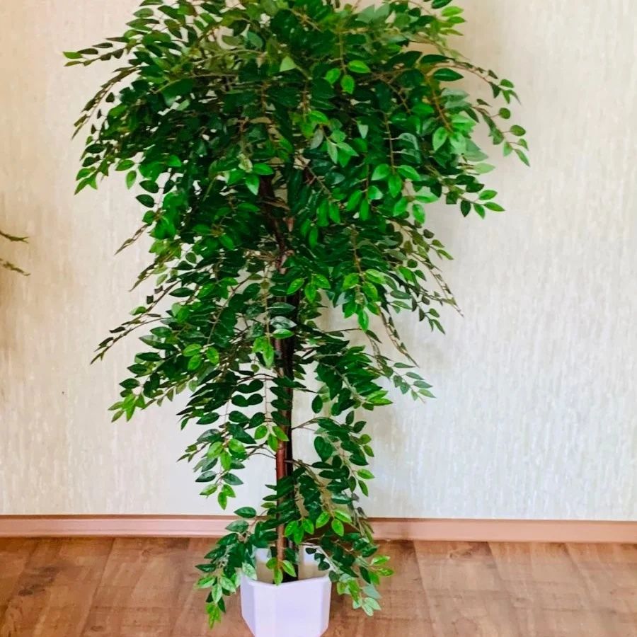 Фруктовые искусственные деревья.