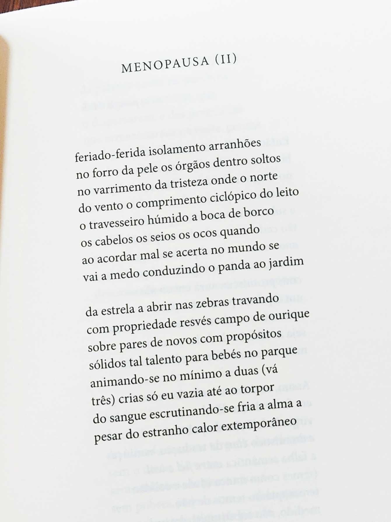 Margarida Vale de Gato - Atirar para o Torto