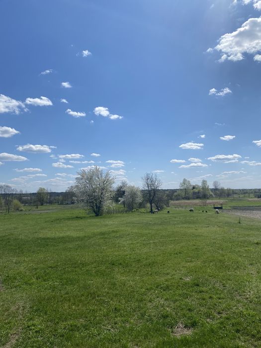 Продам будинок в с. Доротище, від власника