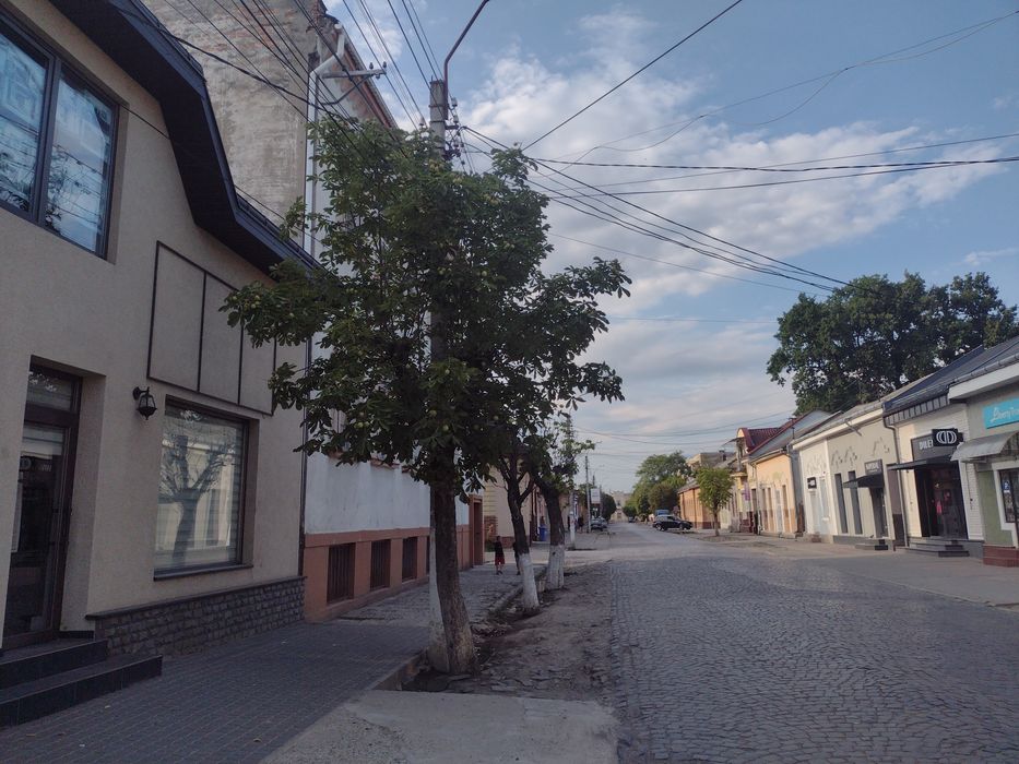 Здається приміщення під будь який вид діяльності ,центр Виноградів