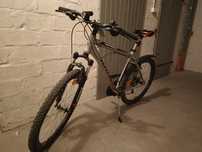 Rower Kross Hexagon x3