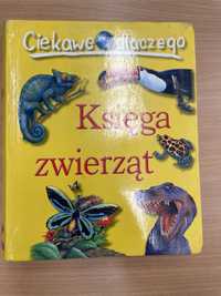 Dla zwierząt ciekawe dlaczego