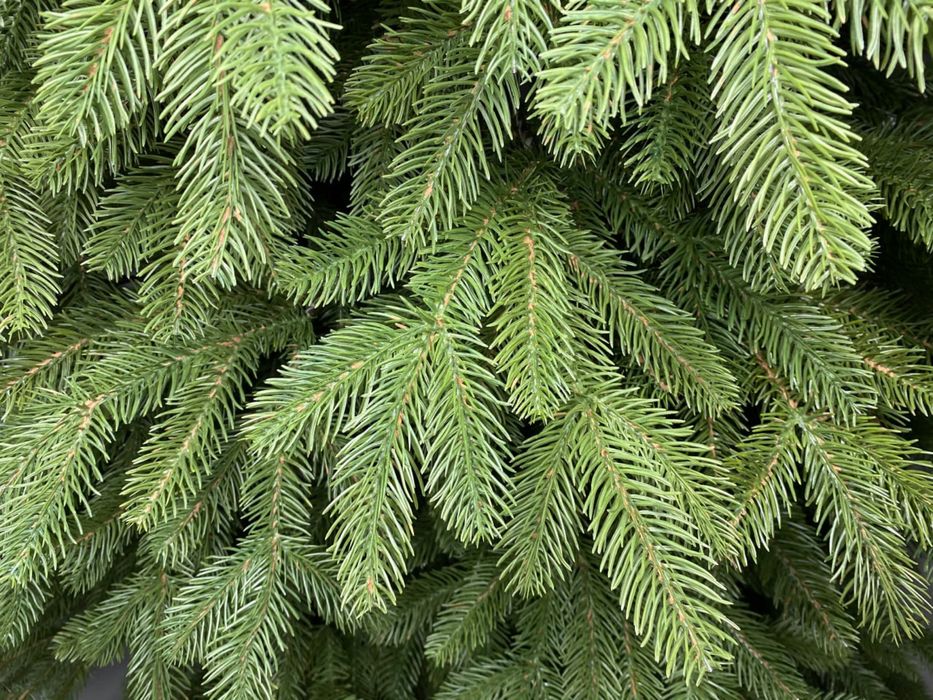 Ель литая Элит. Искусственные елки, искусственная елка. Штучна ялинка