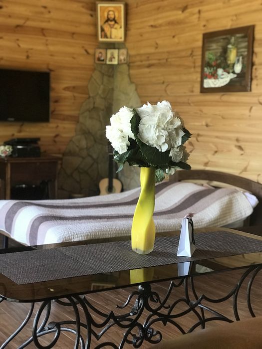 Дом в лесу на озере с камином под Киевом