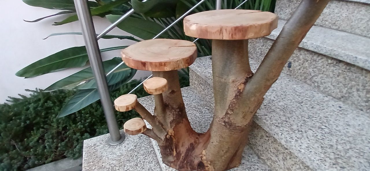 Expositor, suporte com ramo natural e com tratamento