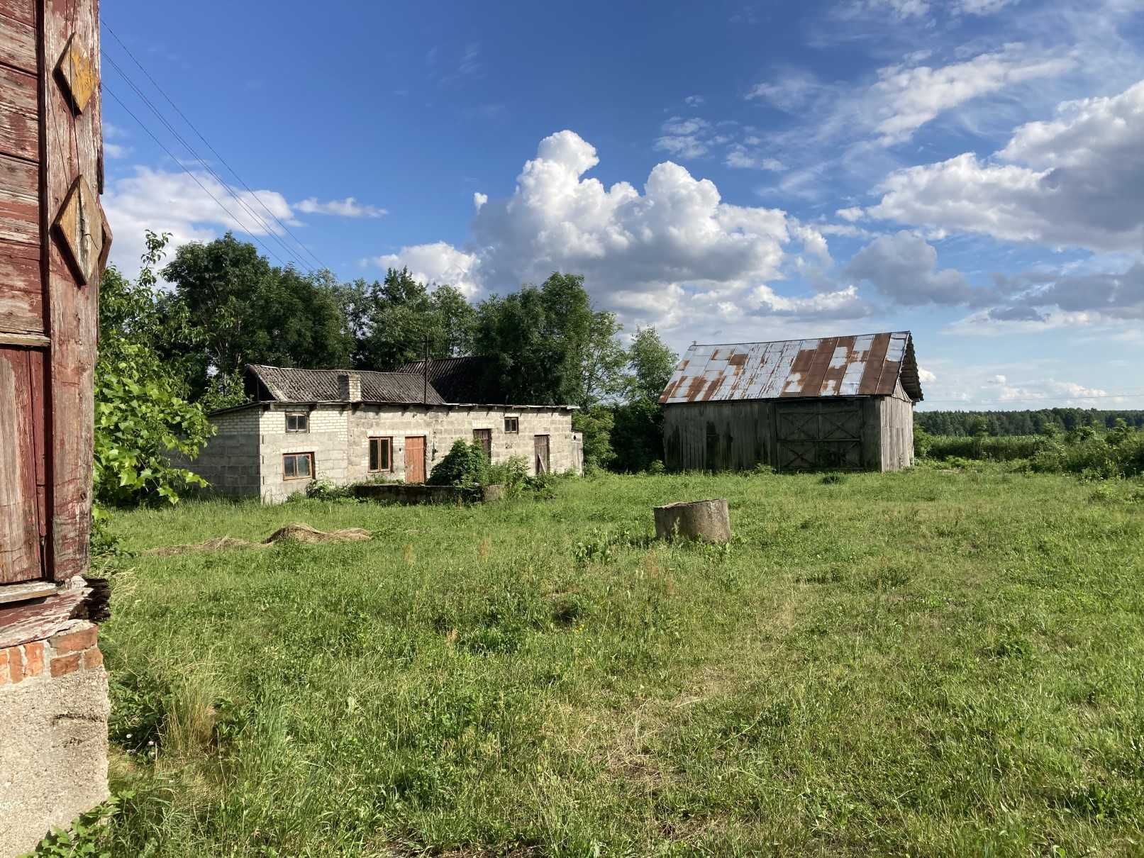 Działka siedliskowa 2000m2 Skrzeszew k. Sokołów k. Drohiczyn