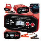 Prostownik 24V 12V 30A AGM Samochodowy  START-STOP Akumulator