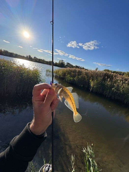 Azura X-Game X64SUL Nano TZ 1.93м 0.2-2г