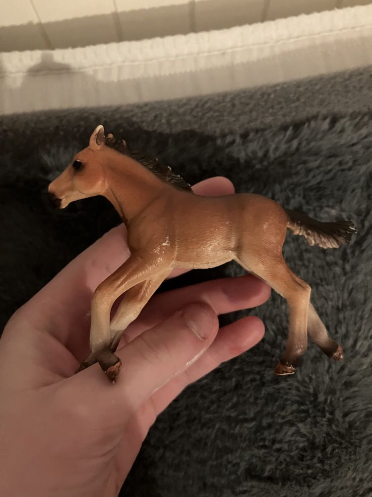 Sprzeda źrebię schleich