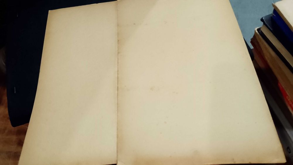 Revue Anthropologique "A. A. Mendes Correa" 1933