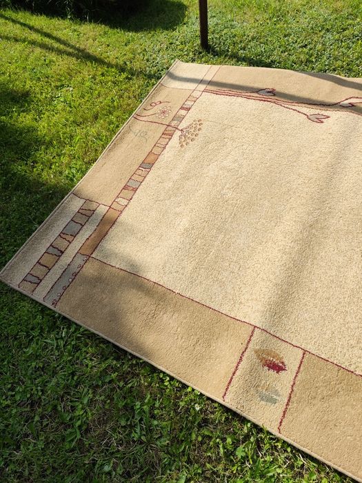 Dywan  o wymiarach 160/220