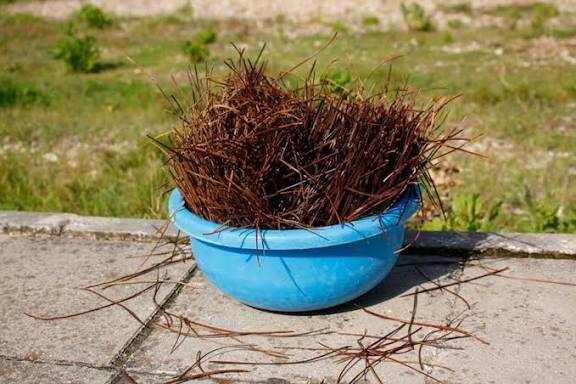 Madeiras, lenha e caruma para queimar em lareira