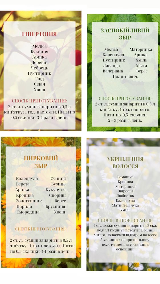 Чаї (трави, різнотрав‘я, сушені трави)