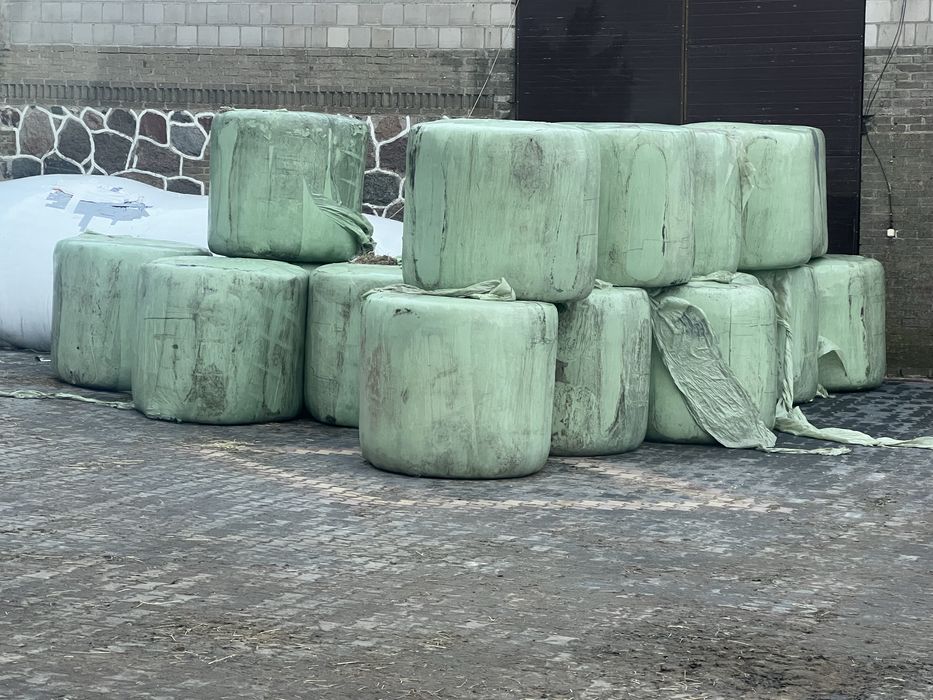 Baloty sianokiszonki bele trawa potraw jałowizny