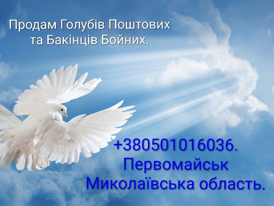 Продам Декоративних курчат