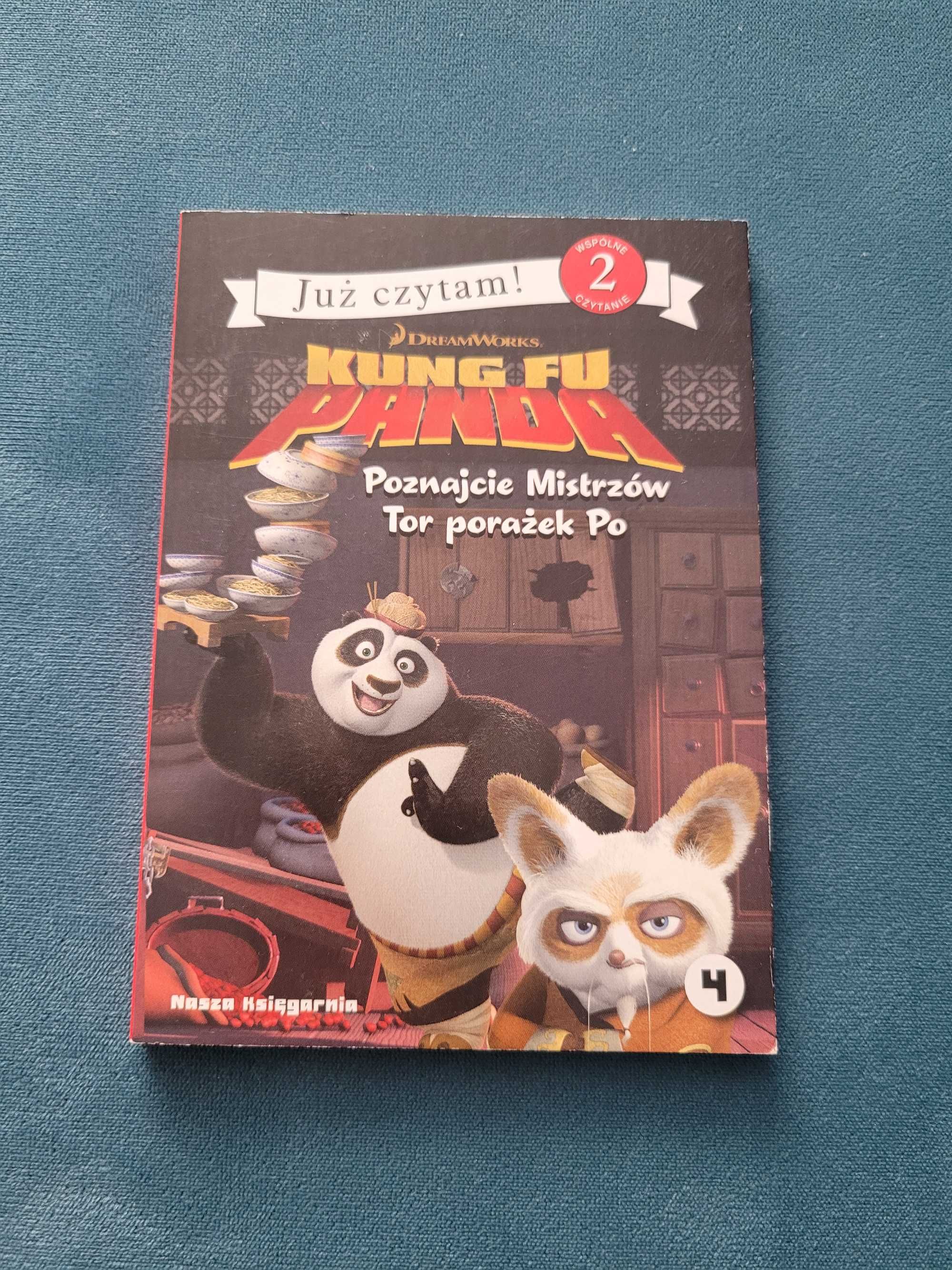 Kung Fu Panda mała książeczka używana