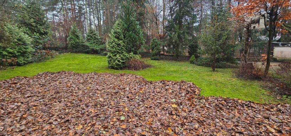 wycinka drzew z podnośnika sekcyjnie Mycie Dachów rynien elewacji