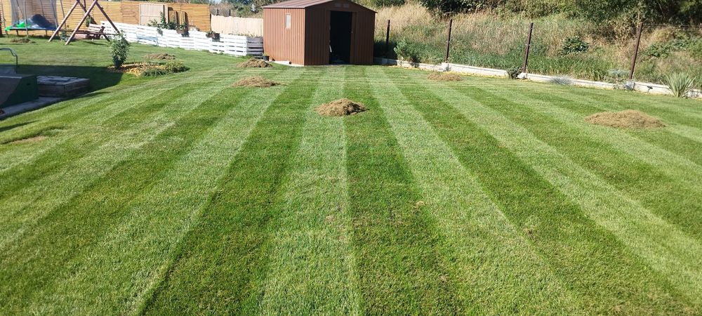 Renowacja trawnika, aeracja, wertykulacja, piaskowanie, dosiewka