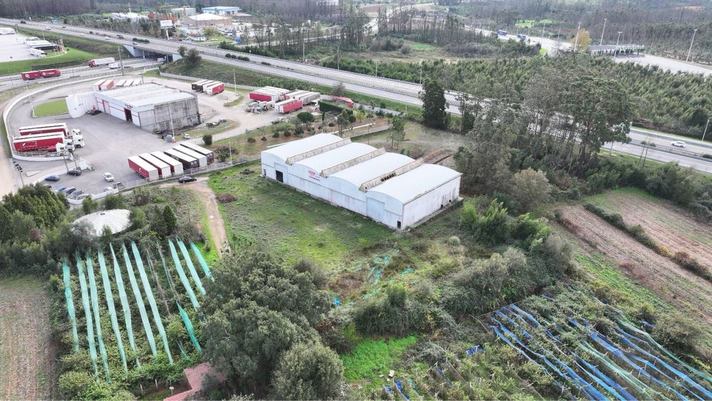 Armazen  2500m2 c/ terreno 6500m2 junto A1