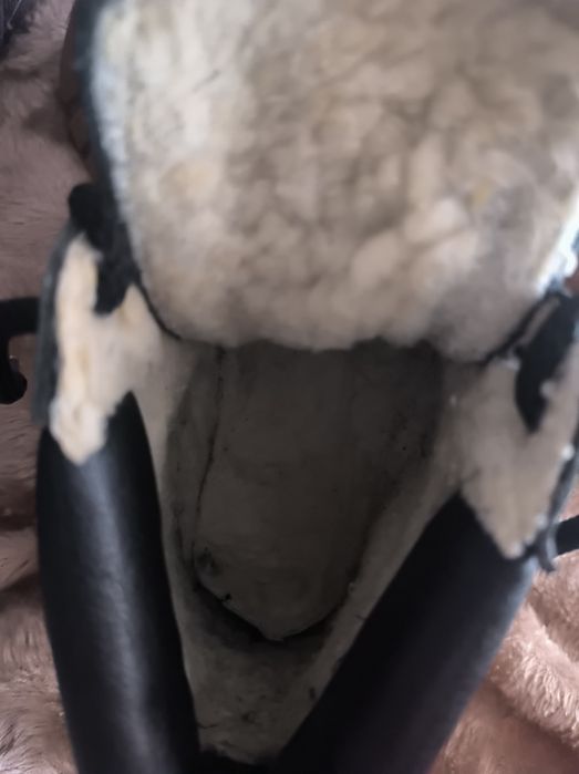 Продам сапожки зимові