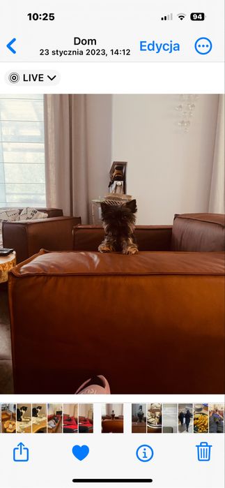 Komplet skorzany Caya Design prawie nowy !