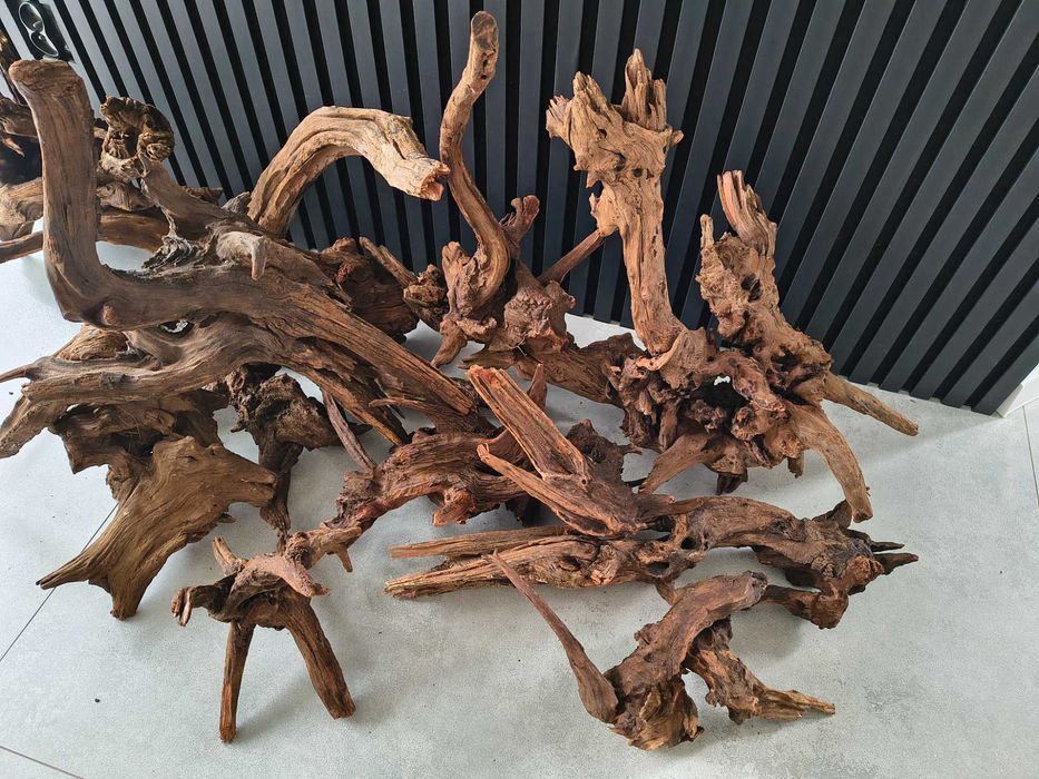 Korzeń Red Moor, Mopani, Driftwood, Mangrowca akwarium terrarium WYBÓR
