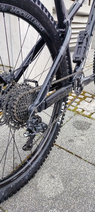 Dartmoor  hornet 2022 PILNEEE