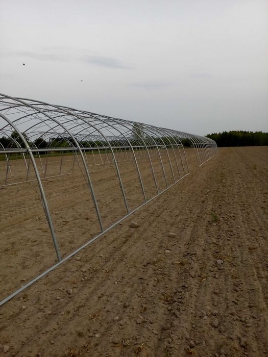 Tunel Foliowy Tunele Foliowe Konstrukcja Tunelu Całoroczny