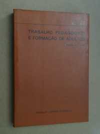 Trabalho Pedagógico e Formação de adultos de Marcel Lesne