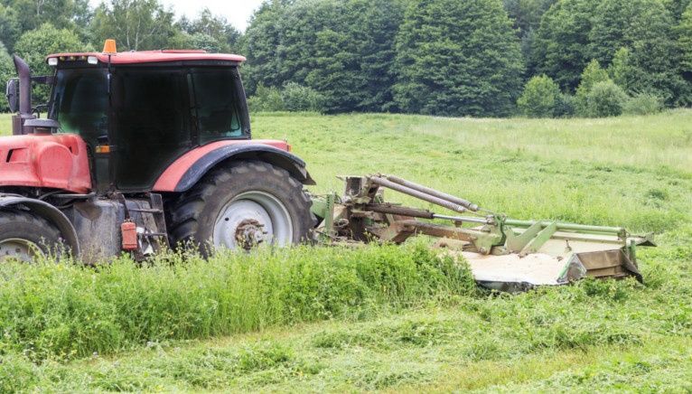 Usługi. Koszenie łąk. Zbiór siana i słomy