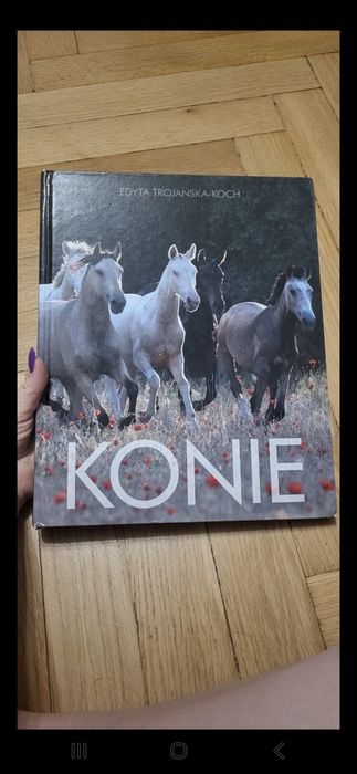 Książka o koniach
