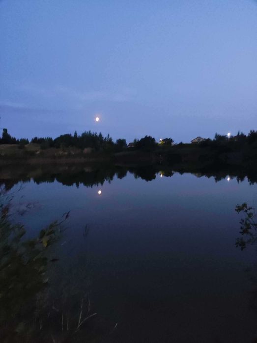 Karp żywy ekologiczny hurt i detal