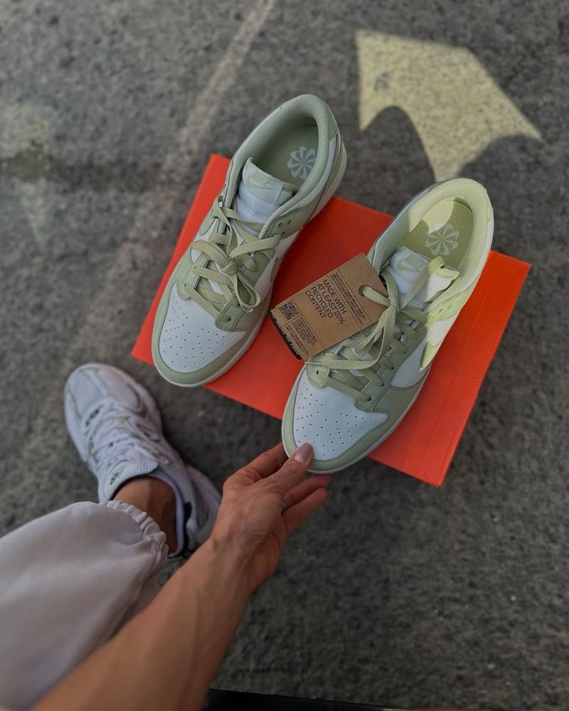 Чоловічі оригінальні кросівки Nike Dunk Low Next HF5384 300