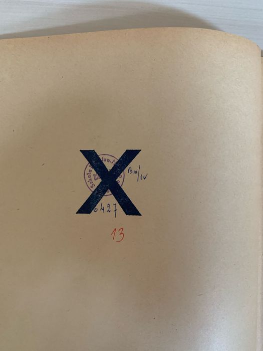 Hanna Januszewska Ambaje wyd.1 1967 Szancer