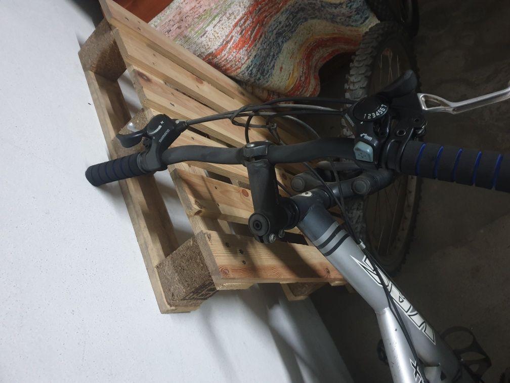 Bicicleta VAG...