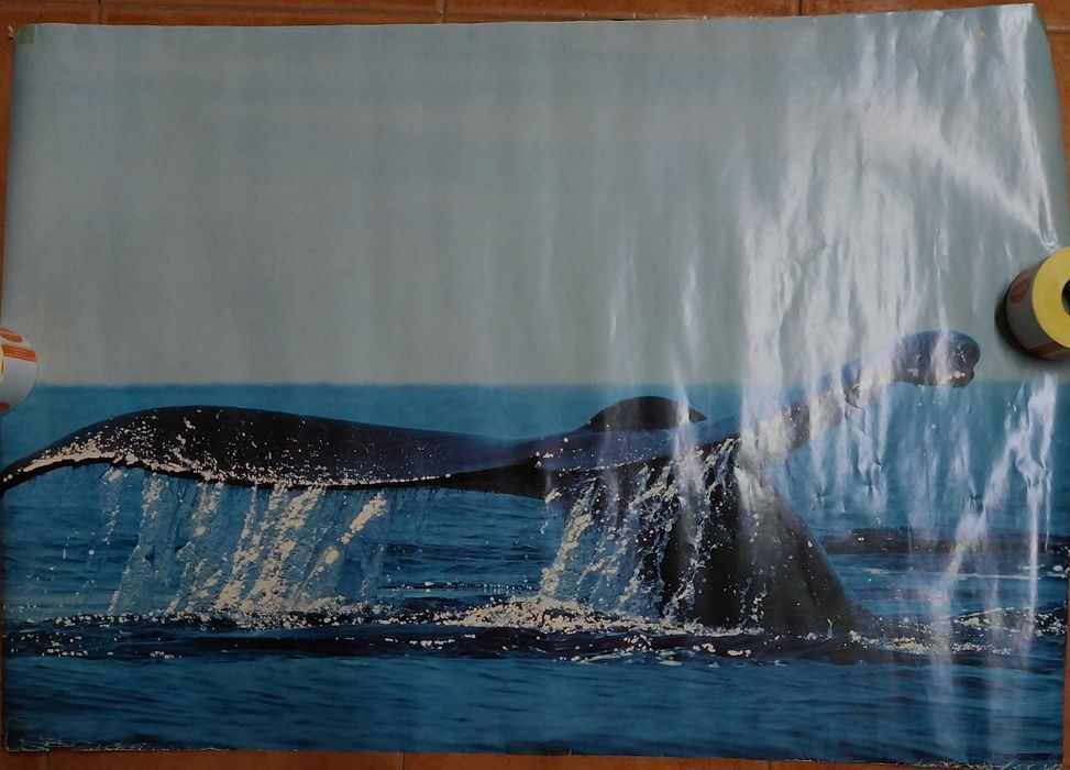 Cartazes Eventos, Festivais, Conferências