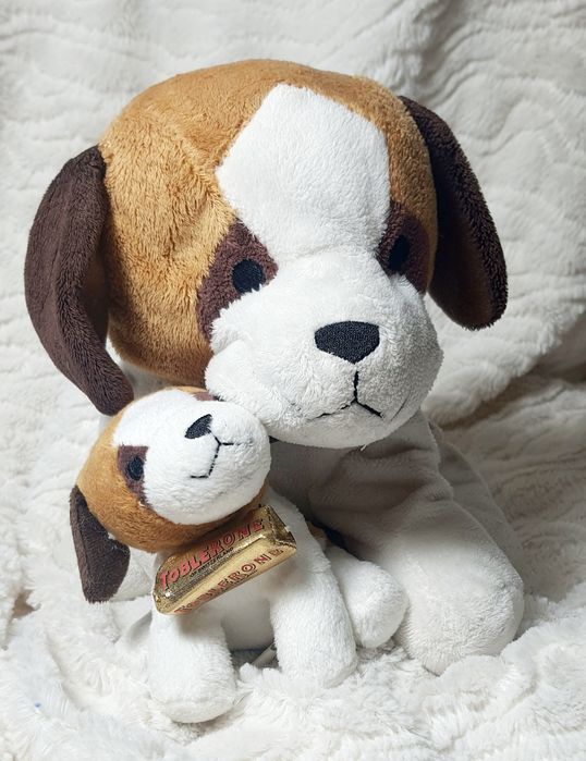 Dwa pieski Mamusia i szczeniaczek Toblerone