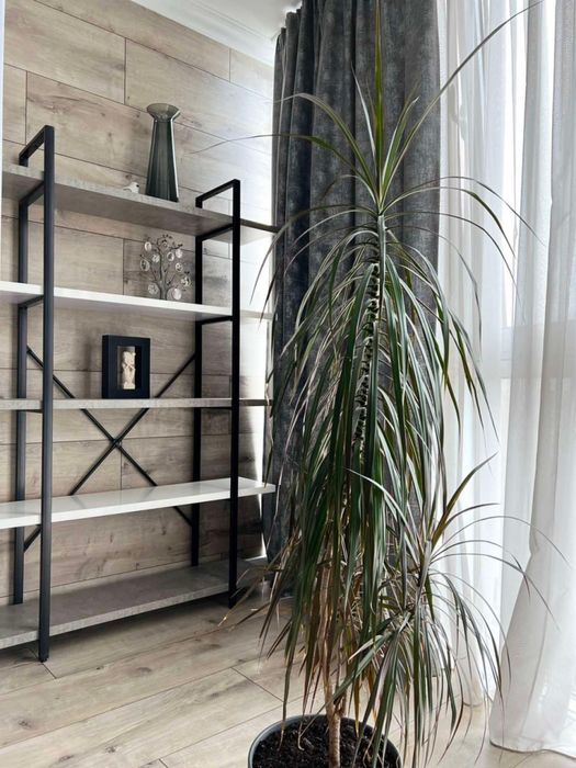 2 кім.кв. ЖК Сімейний Люкс на Митниці