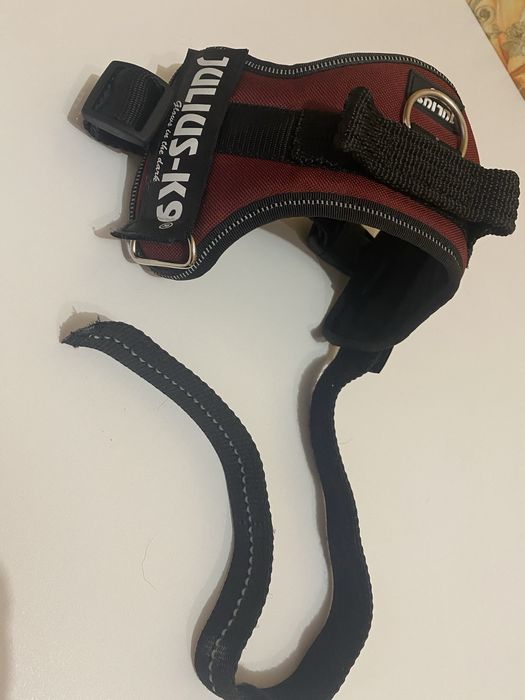 Шлейка Julius K-9  mini