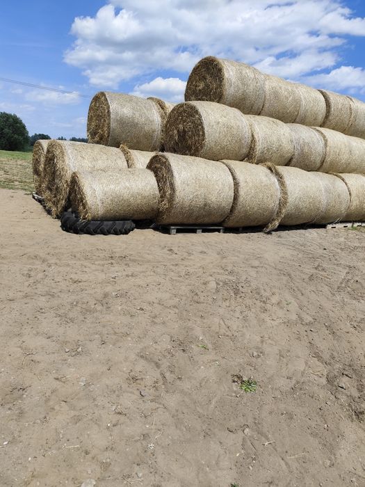 Siano bele okragle mocno zbite z ładnych łąk prasowane prasą pąsowa