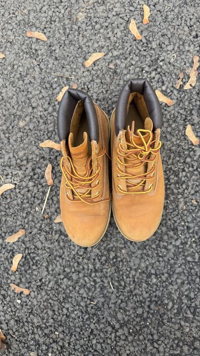 Timberland Nubuc Premium