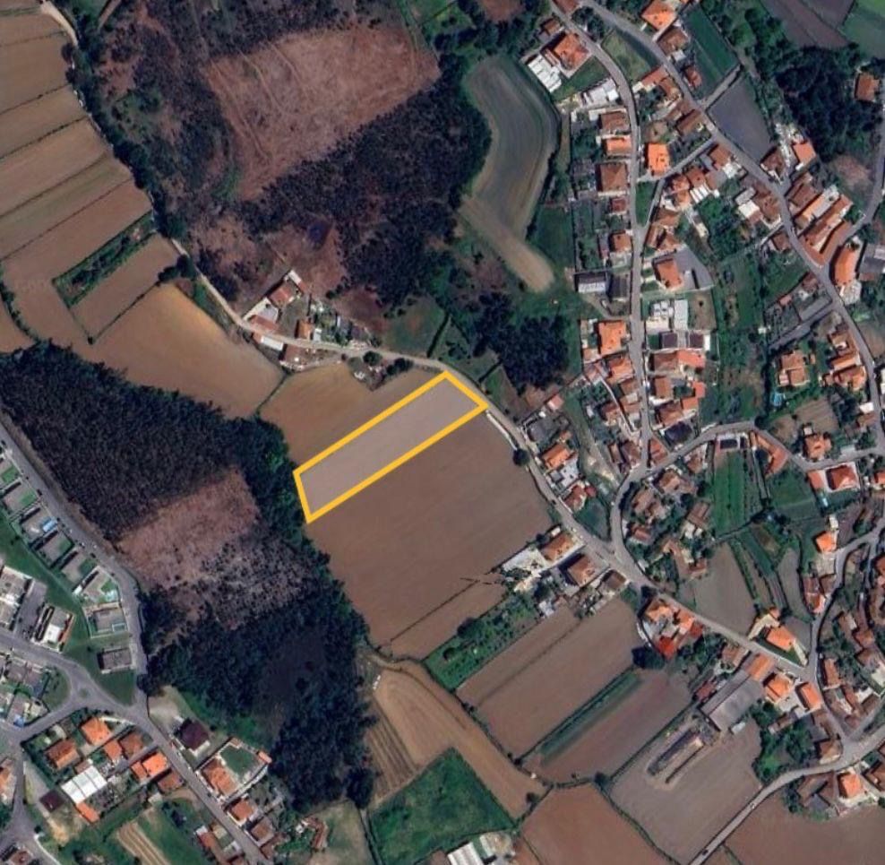 Terreno - Ribeirão
