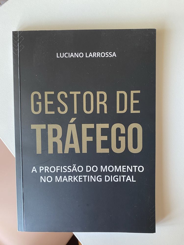 Gestor de Tráfego - A profissão do momento no marketing digital