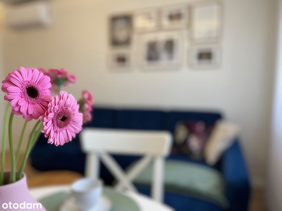 Przytulne mieszkanie w centrum miasta