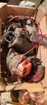 Material de Ford Capri MK1 Caprissimo