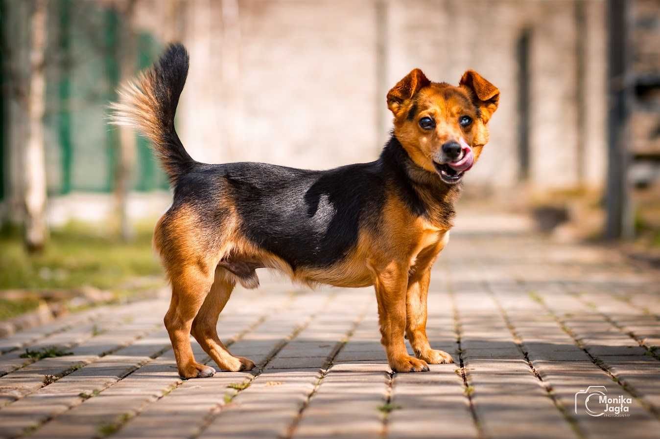 Malutki Norek do pokochania od zaraz!