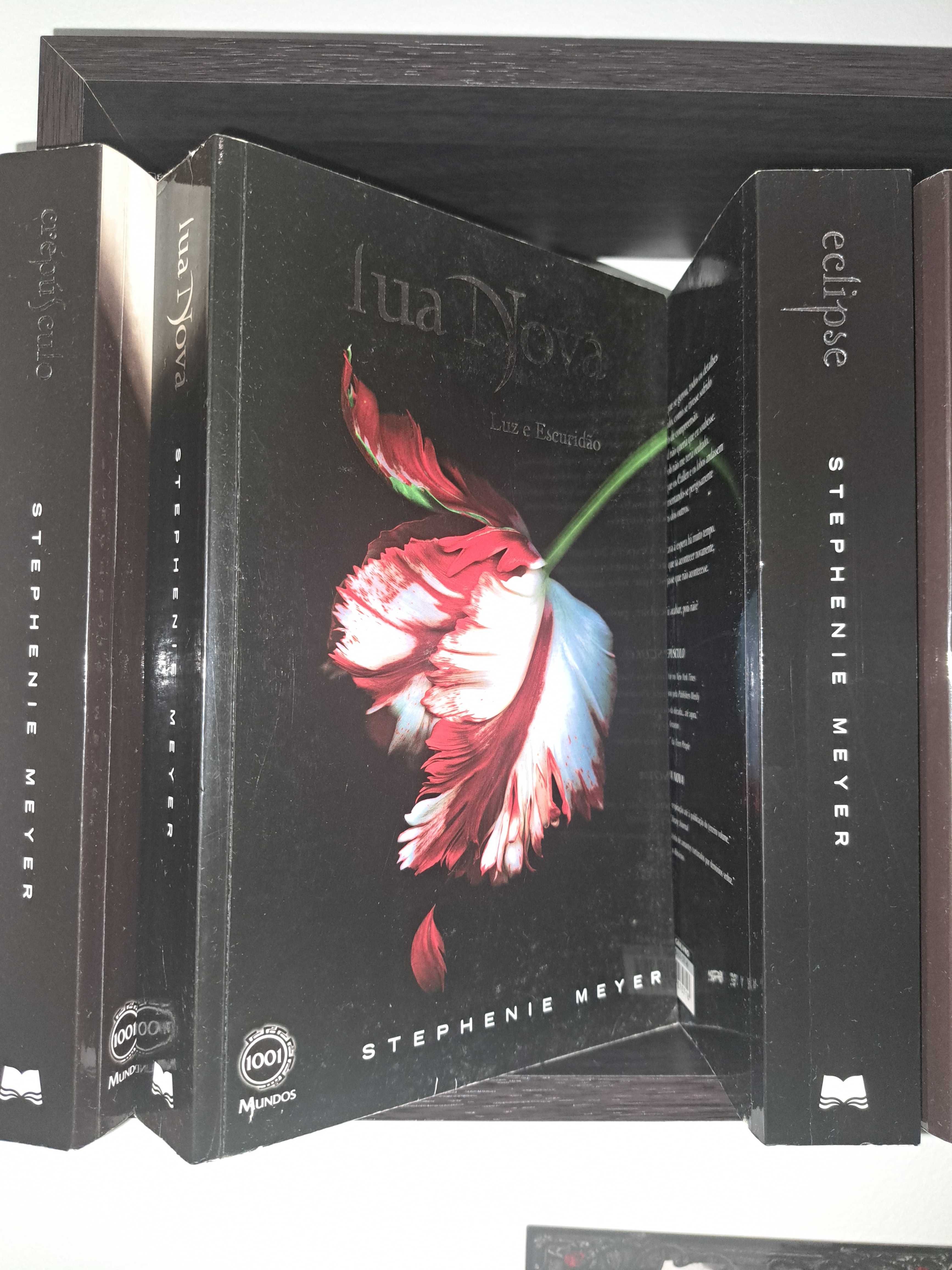 Livros da Saga Twilight de Stephanie  Meyer