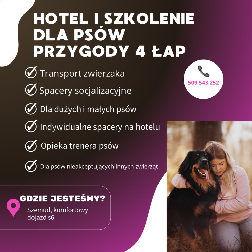 Profesjonalny hotel i szkolenie dla psów